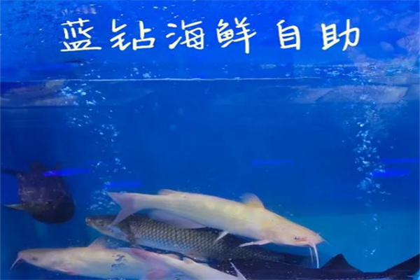 蓝钻海鲜自助餐厅