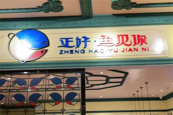 正好鱼见你