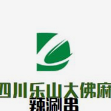 乐山大佛泥锅麻辣涮串