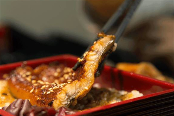 鳗说鳗鱼饭