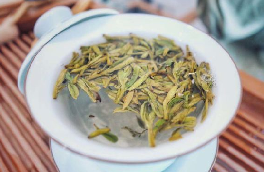 云雾贡茶