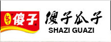傻子瓜子