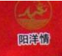 阳洋情