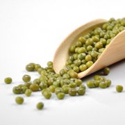 燕之坊禅食加盟费用多少？