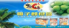椰子郎加盟方案