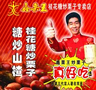 鑫栗王加盟方案