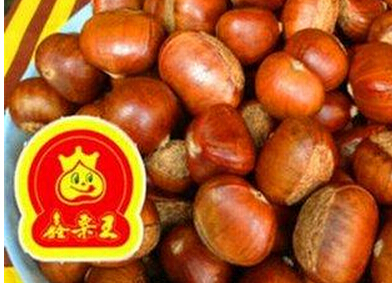 鑫栗王加盟