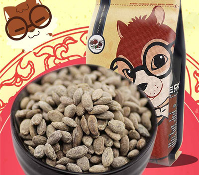三只松鼠加盟