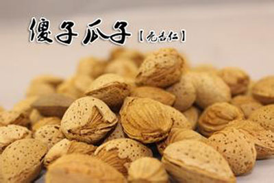傻子瓜子加盟